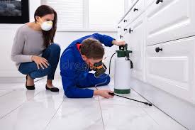 Best Fumigation Services  in Sinton, TX